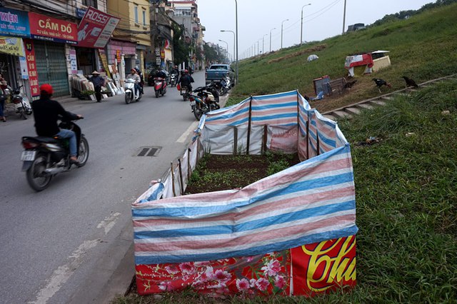 Tăng gia, nuôi gà, trồng rau, đê điều