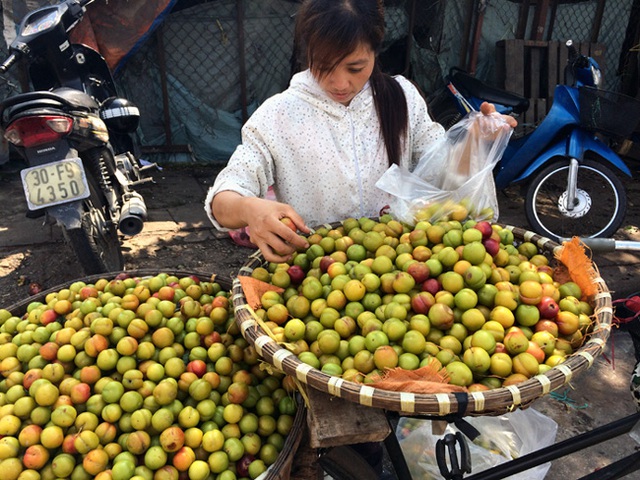 
Ra khỏi cổng chợ đầu mối, mận Tàu được dân bán hàng rong quảng cáo là mận Sapa
