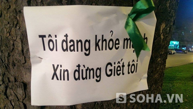 Trên mỗi tờ giấy A4 được ghim vào thân cây đều có những nội dung “khóc thảm” để “van xin” được sống.