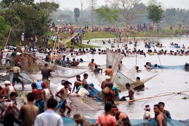 Người dân tham gia đánh cá tập thể trong lễ hội Rongali Bihu tại Nagaon, Ấn Độ.