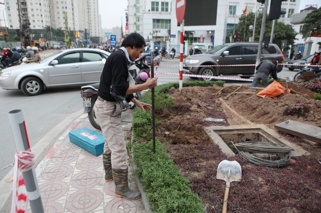 
Với những hàng cây nhỏ, máy xúc không làm được, các công nhân dùng xà beng đào lên
