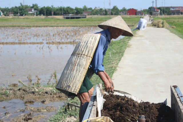 thần hộ vệ, người nông dân, chống chọi, nắng thiêu đốt, Hà Tĩnh