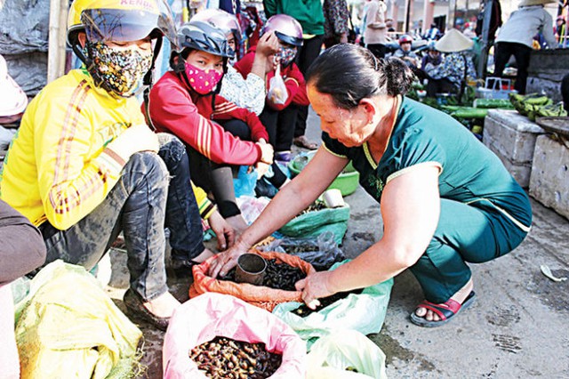 
Ốc đá được bán ở chợ Quy Đạt, đây là chợ lớn nhất huyện Minh Hóa, ngoài ra ốc cũng được bán cho các nhà hàng và thực khách đến đây
