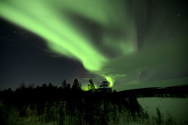 Bắc cực quang tỏa sáng lung linh, ma mị trên một khu rừng ở khu vực Murmansk, Nga.