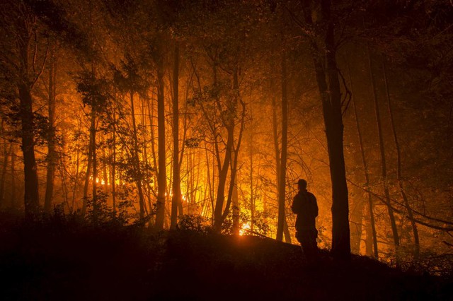 Lính cứu hỏa đang theo dõi một đám cháy rừng tại khu vực gần Hyampom, California, Mỹ.