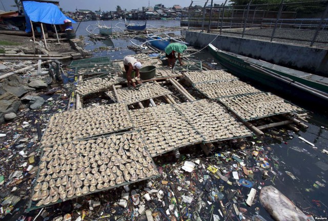 Công nhân phơi cá khô trên dòng sông ô nhiễm đầy rác ở thành phố Navotas, Philippines.