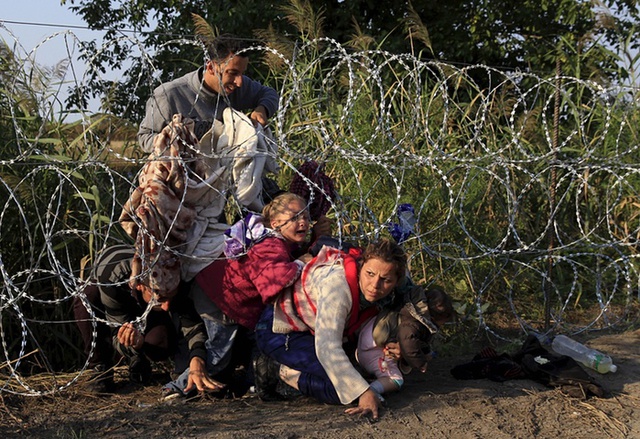 Những người di cư Syria chui qua hàng rào thép gai sang Hungary từ Serbia.