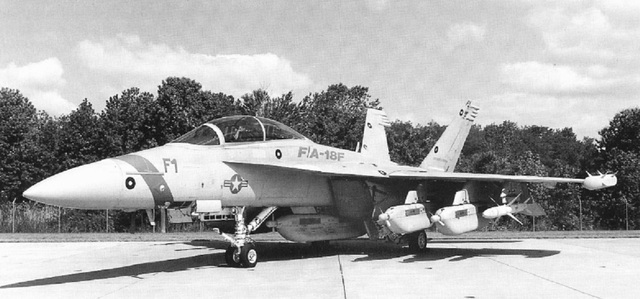 Nguyên mẫu F/A-18F F-1 được trang bị với hệ thống tác chiến điện tử ALQ-99 để phục vụ cho khái niệm máy bay tấn công điện tử (Airborne Electronic Attack)