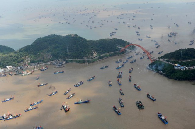 
Các tàu cá đi lại nườm nượm gần một cảng ở Ninh Ba, tỉnh Chiết Giang ngày 16.9.
