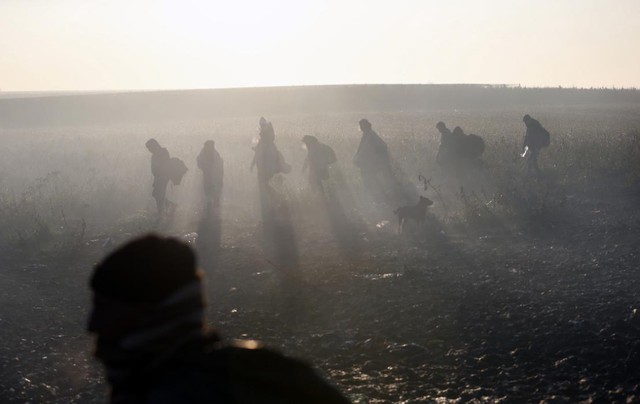 
Người di cư đi qua cánh đồng dưới sương sớm gần ngôi làng Berkasovo ở Serbia, giáp biên giới với Croatia.
