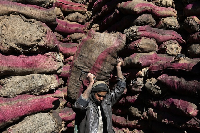 Công nhân khuân những bao tải nặng trĩu tại một bãi than ở Kabul, Afghanistan.