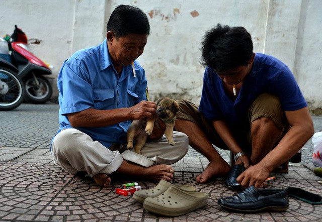 chó mù, đánh giày, sài gòn, thi sách, tình thương