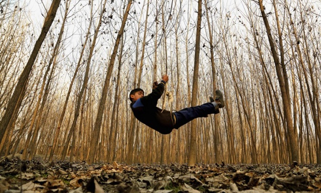 Một cậu bé chơi đánh đu trong rừng ở Srinagar, Ấn Độ.