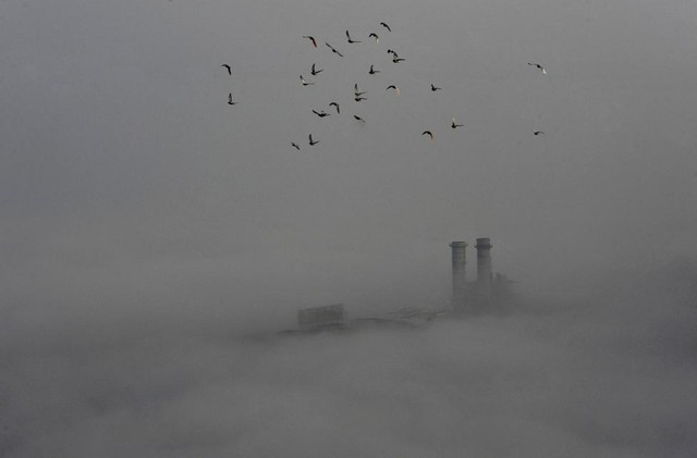 Chim bay trên bầu trời trong một ngày ô nhiễm nặng ở thành phố Vũ Hán, tỉnh Hồ Bắc, Trung Quốc.