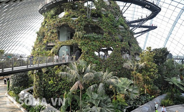  Vườn nhân tạo Gardens By The Bay