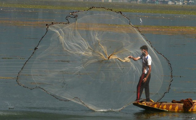 Ngư dân quăng chài đánh cá trên hồ Dal ở Srinagar, Ấn Độ.