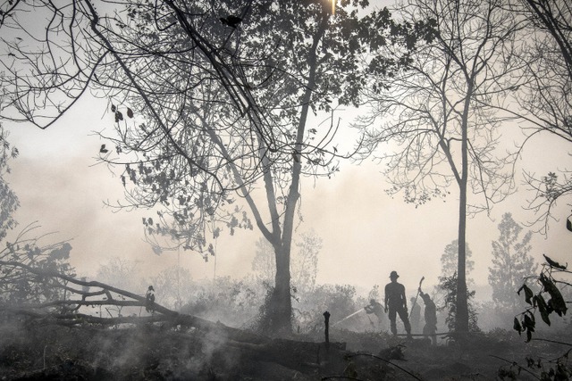 Cảnh sát phun nước để chữa cháy rừng ở Kampar, Sumatra, Indonesia.