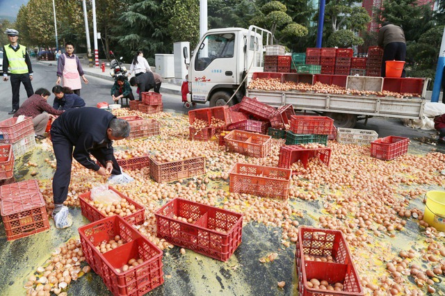 Người dân giúp nhặt trứng bị đổ xuống đường từ một chiếc xe tải tại thành phố Thái An, tỉnh Sơn Đông, Trung Quốc.