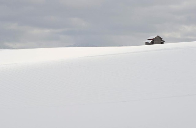 
Tuyết phủ trắng xóa sau một cơn bão mùa đông trên hòn đảo Hokkaido, Nhật Bản.
