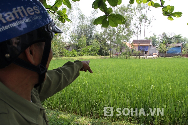 Con đường vận chuyển hàng hóa đi qua chính giữa làng Hạ Lội nay dã được xây dựng lại các căn nhà mới khang trang.