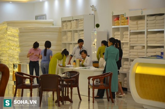 Showroom có khoảng 25 nhân viên người Việt Nam kể cả bảo vệ. Ngoài ra, có khoảng 10 người Trung Quốc có nhiệm vụ quản lý, hướng dẫn nhân viên người Việt Nam cách bán hàng. Theo các nhân viên người Việt, họ không phải là người của công ty Tuệ Dân.