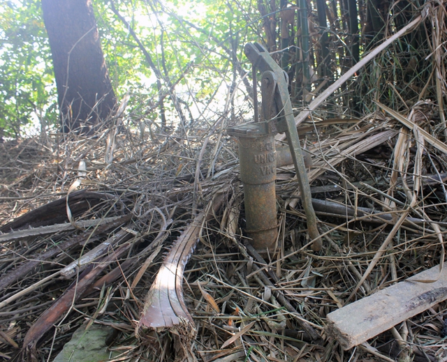 Do ở ngoài nhà hoang nên ông Đức và bà Quy không làm đăng kí kết hôn, không sổ hộ khẩu. Thậm chí, ông bà cũng không có chứng minh nhân dân, không nhập tịch vào xã mà sống tự do không ai quản lý.