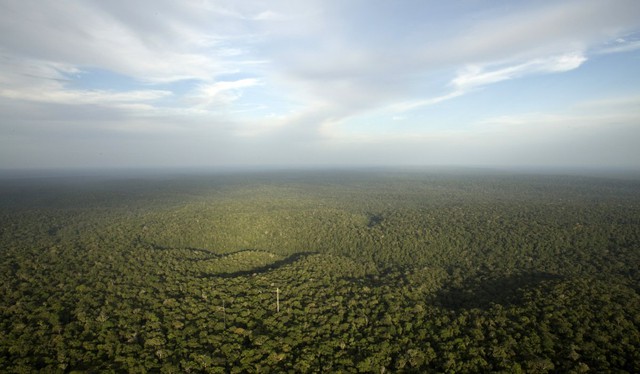 
Amazon vốn là rừng mưa nhiệt đới đẹp nhất trên hành tinh.
