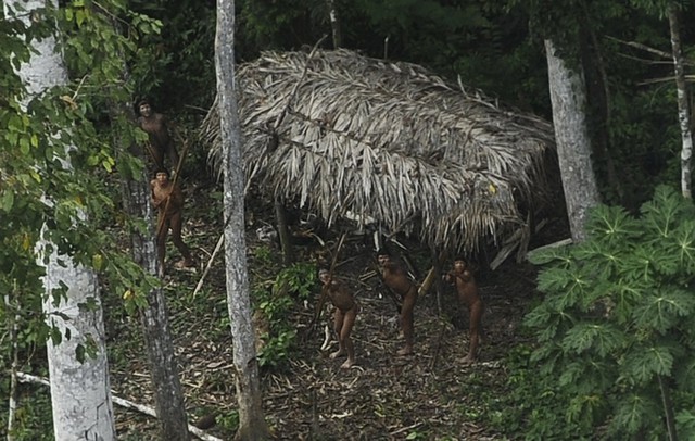 
Trong rừng có gần 50 bộ lạc không giao tiếp với thế giới bên ngoài. Bộ lạc trong ảnh là một ví dụ.
