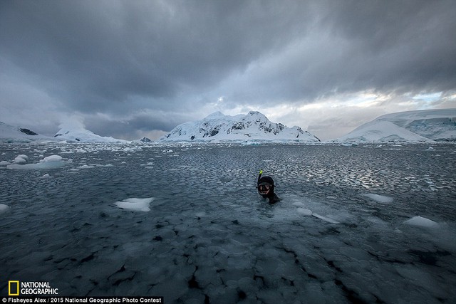 
Fisheyes Alex với tác phẩm “Không lạnh”, được chụp tại Đồi Tuyết, Nam Cực.
