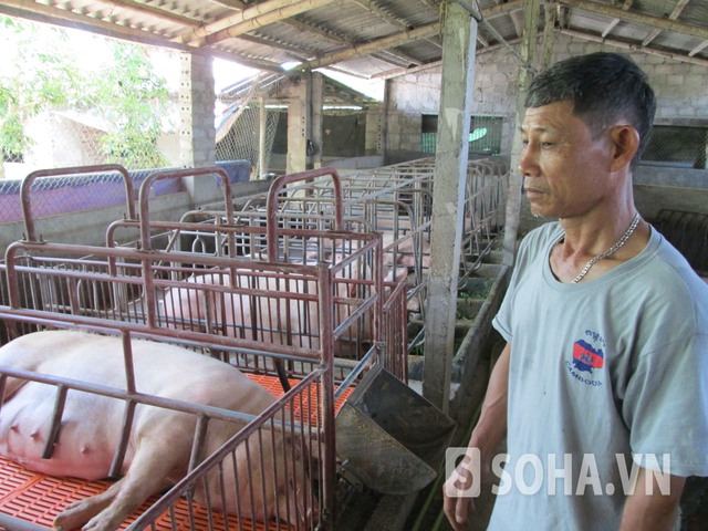 Ông Nguyễn Văn Toán tỏ ra lo lắng trước những dòng chữ lạ, xuất hiện bất ngờ trên tường chuồng lợn nhà mình.