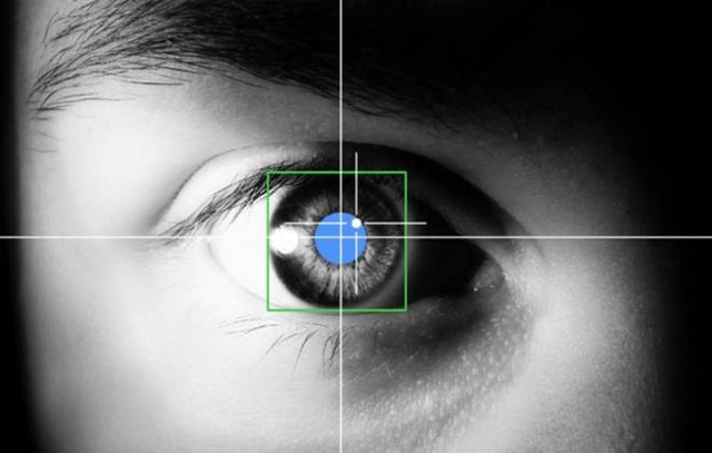 
Mắt người được cấu thành từ hơn một triệu các bộ phận có từng chức năng riêng. Tốc độ của một lần chớp mắt từ 100 đến 150 phần nghìn giây, và cứ trung bình một giây, ta chớp mắt 5 lần; chớp 17 lần trên một phút, 14.280 lần trong một ngày và 5,2 triệu lần trên một năm. Hình minh họa
