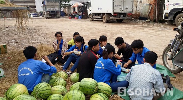 Các tình nguyện viên nghỉ ngơi sau khi giúp vận chuyển dưa bán cho nông dân Quảng Ngãi. Ảnh do chị Ngọc cung cấp.