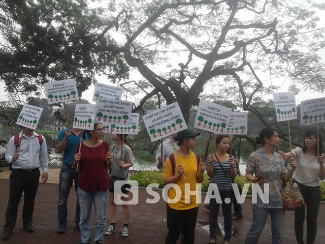 Nhóm của chị Huệ với các biểu ngữ phản đối chặt cây xanh và kêu gọi bảo vệ môi trường.