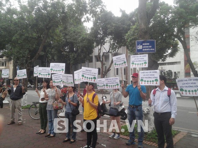 Đứng bên đối diện UBND Thành phố và giơ các biểu ngữ phản đối chặt cây xanh.