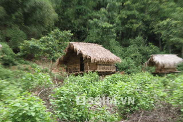 Ngôi nhà anh Thọ nơi xảy ra vụ thảm án vốn bình yên nay càng thêm lạnh lẽo hoang vu. Bởi người dân xung quanh quá sợ hãi nên đã bỏ về bản sinh sống.