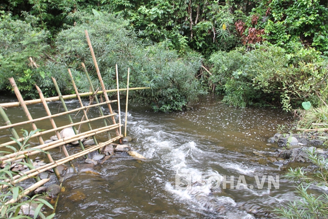 Vừa lội suối được mấy bước, Hai đuổi kịp nên vung dao chém chết chị Yến rồi dùng dao cứ cố đứa bé con chị Yến.