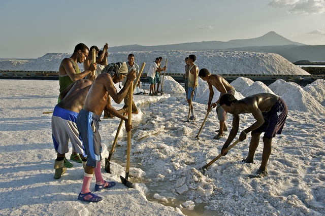 Người dân Afar đang khai thác muối tại vùng lõm Danakil