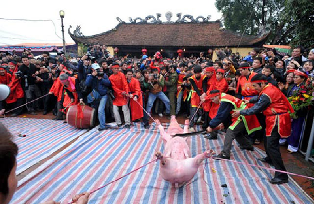 Lễ hội chém lợn được coi là một nghi lễ truyền thống có từ lầu đời của làng Ném Thượng