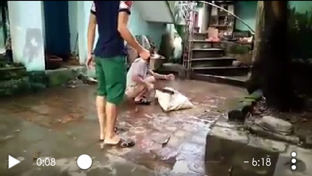 
Chú chó bị nhốt trong bao tải, một người dùng chày để đánh, người còn lại dội nước sôi (ảnh cắt từ video)
