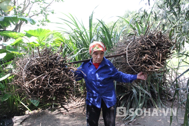 Hàng ngày, chị Vận chỉ ra khỏi nhà mỗi lúc đi lên rừng kiếm củi về nấu ăn. Nhân tiện, bà tạt ngang qua chợ mua mớ rau, quả cà về cho các em ăn bữa.