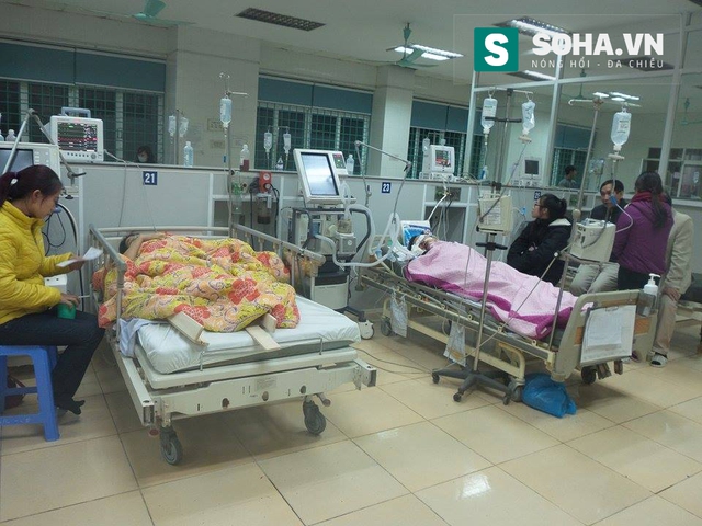
Các bệnh nhân bị thượng nặng, đang được điều trị tại khoa Hồi sức tích cực - Chống độc (Bệnh viện Đa khoa tỉnh Vĩnh Phúc).
