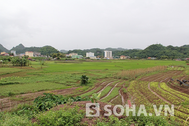 Toàn bộ diện tích cánh đồng này sẽ được sử dụng để xây dựng quần thể tượng đài