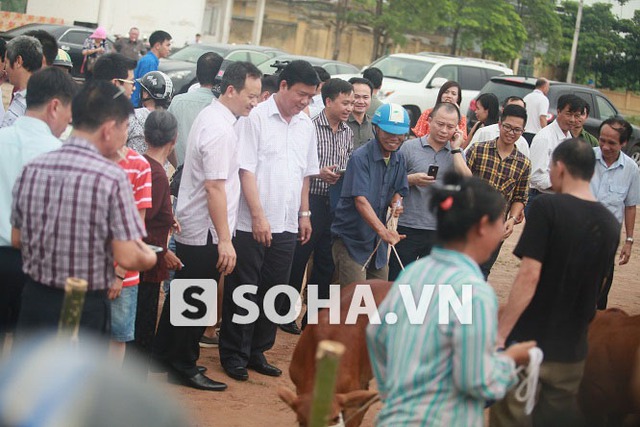 Bộ trưởng Đinh La Thăng trong buổi tặng bê cho người dân khó khăn ở Nam Định.