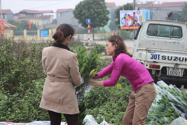 Hoa Ly được nhiều người mua ưu ái hơn