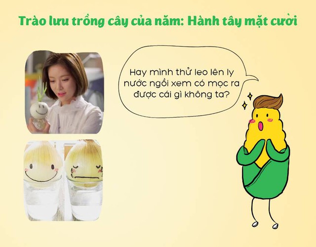 
Không chỉ đơn thuần là một loại rau củ, Hành tây được chăm chút cũng đáng yêu cực kì.
