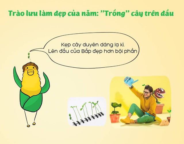 Ai nói cây chỉ trồng trong chậu, cây còn trồng được cả trên đầu