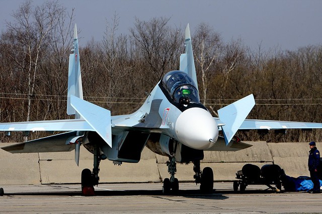 
Cặp cánh mũi của Su-30SM.
