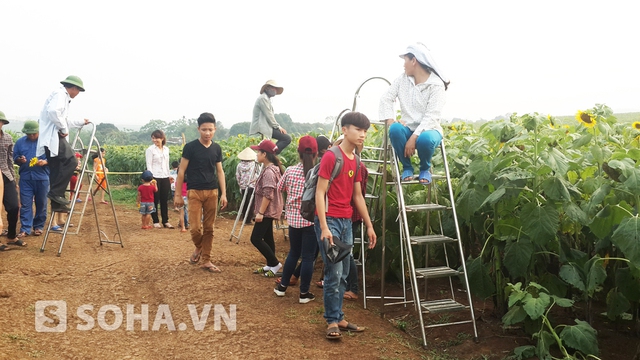 Nở rộ dịch vụ cho khách thuê thang chụp ảnh toàn cảnh.