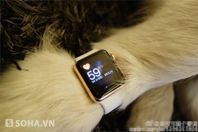 Mỗi chiếc Apple Watch tại Trung Quốc có giá bán lẻ dao động từ 1000 – 2000 USD tùy phiên bản.