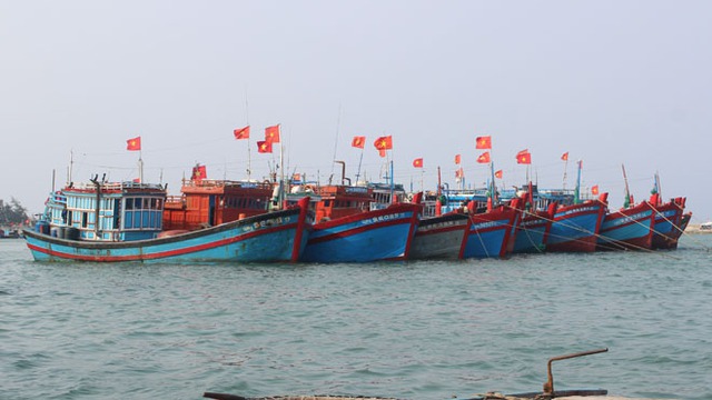 Các tàu cá của ngư dân Lý Sơn (Quảng Ngãi).